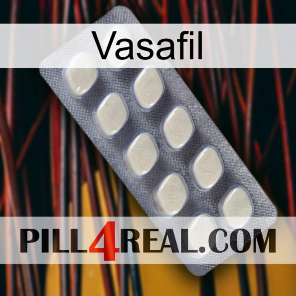 Vasafil 08.jpg